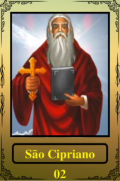 card-16