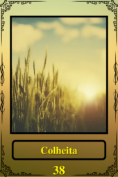 card-3